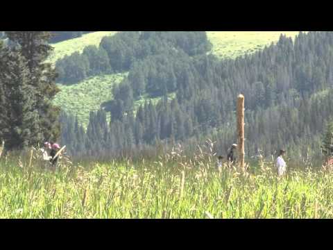 Best Western Johnson City TX