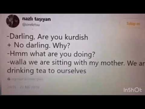 Darling, Are you kurdish?