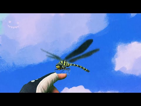 POULISH KID - Dragonfly