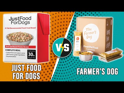 Just Food for Dogs vs Farmer's Dog- How Do They Compare? (Key Differences You Can't Ignore)