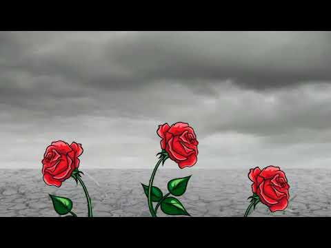 Video de la banda Trícaro