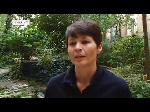 KINO | The German Film Magazine