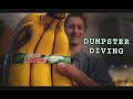 Dumpster Diving