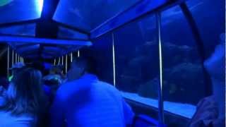 preview picture of video '2012 Shark Voyage Adventure Train at Houston's Downtown Aquarium'