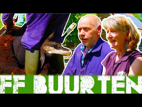 Scheer Je Weg Als Je Een Schaap Bent // FF BUURTEN
