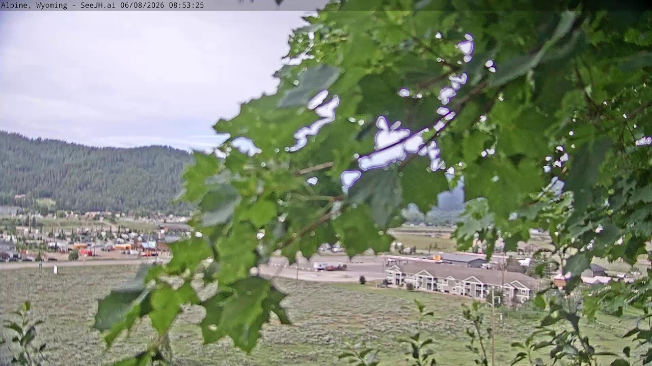 Live webcam view of Vista del valle de Alpine