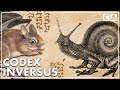 The Creatures Of Codex Inversus