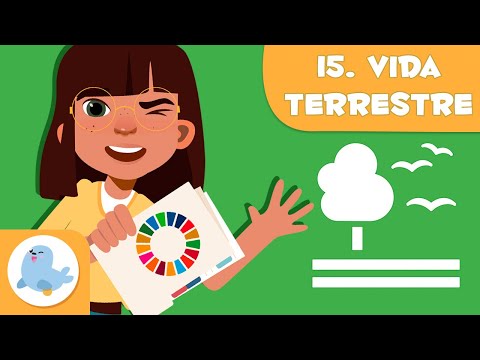 Vida terrestre 🌳 ODS 15 🐻 Objetivos de desenvolvimento sustentável para crianças