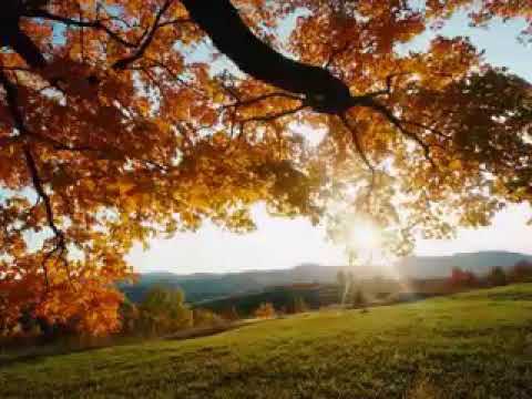 Jacky and Valery Musics (Pa bliye Abone)