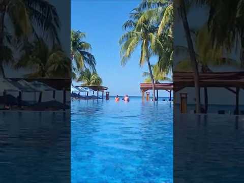 Thumbnail for Infinity Bay Spa and Beach Resort Pool #travel #cruiseship #roatan #cruise #carnivalcruise #shorts