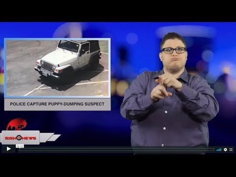 Police capture puppy-dumping suspect (ASL - 4.24.19)