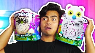EXPERIMENTING WITH HATCHIMALS!