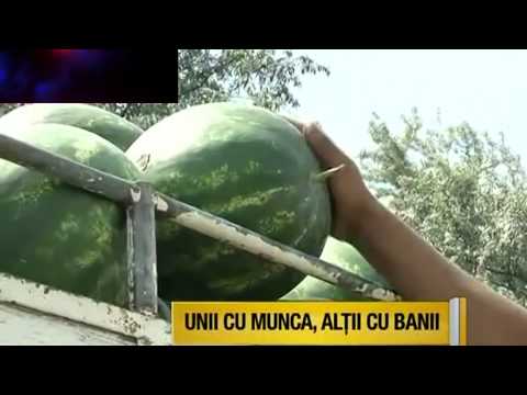 TICY - Poveste de viata ( Official Track + Video )