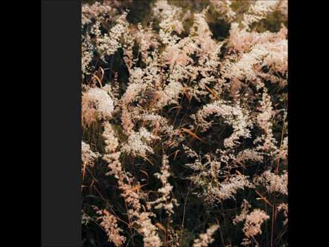 Eafhm - Interior de Cristal [ERS01]