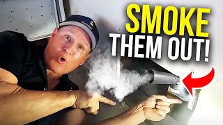 How to GET RID OF RATS in 22 Minutes...smoke..