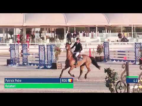 Kalahari - 2015 KWPN mare by Kannan x Carthago Z - 2nd place in 5 yo Final at MET II 2020