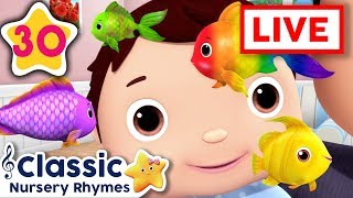 Learn Colors For Kids | Color Fish | +More Baby Songs | Nursery Rhymes | Little Baby Bum