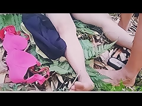 Agricultural vehicle transporting wood; full video of the country girl.