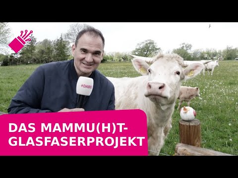 Das größte geförderte Glasfaser-Projekt in Vorpommern-Rügen
