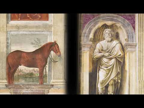 La Sala dei Cavalli di Palazzo Te ▪ eArs x C-CHANGE