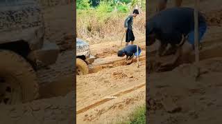 Download lagu story wa petani sawit kata kata bijak#shorts mp3