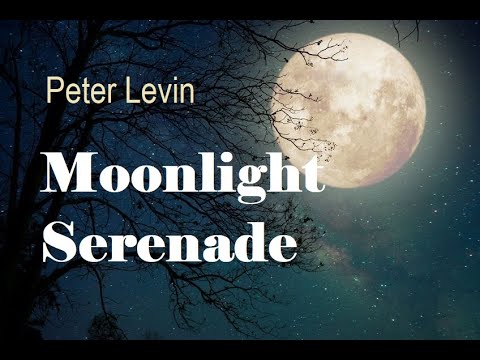 Thumbnail for Pete Levin -- Moonlight Serenade by Pete Levin