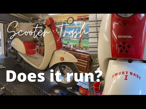 Thumbnail for 2002 Honda CHF50 scooter... is it trash or will it run? Part 1 by Honda CHF50