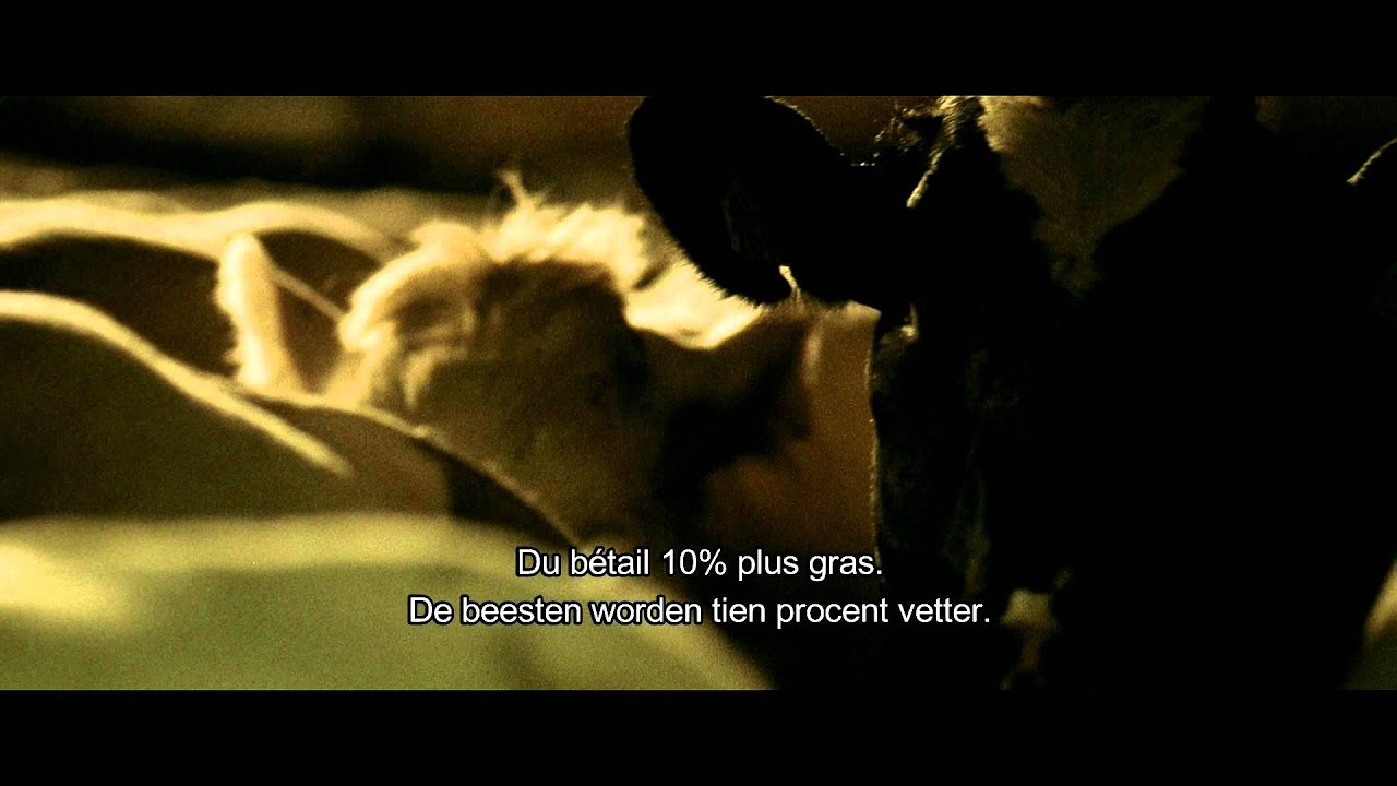 Placeholder from YouTube