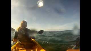 preview picture of video 'A Day with Sharks - Koru Kayaking, Trevaunance Cove, St Agnes, Cornwall'