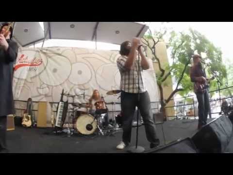 The Beards - Why Having a Beard is Better Than Having a Woman - (Live - 2012)