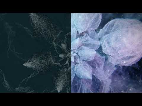 Tony Guerra On Air - Episode 005 - Live from Pablo Ceballos in Miami FL