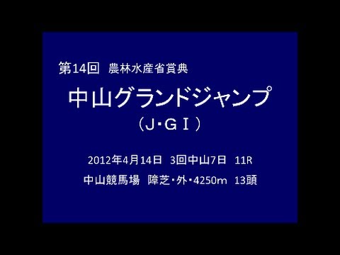 2012年 第14回 中山グランドジャンプ（J・GⅠ） マジェスティバイオ
