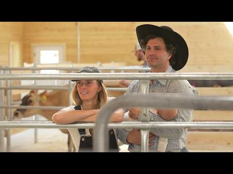 Our First Dairy Cows Arrived! - First Milking at the Ballerina Farm Dairy