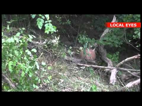 Hafida-drabet: Her blev liget fundet