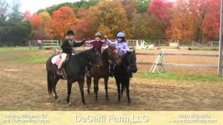 preview picture of video 'DeCarli Farm LLC - Horse Training in Ellington, CT'