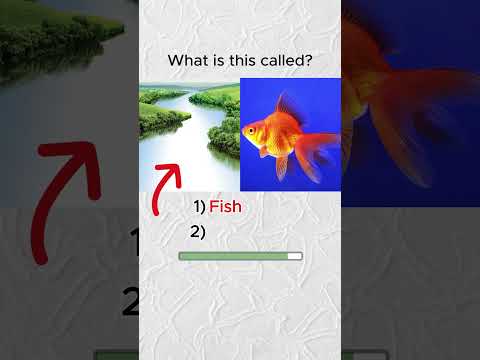 t.me/lilokenglish#EnglishLearning #LearnEnglish #EnglishLanguage #StudyEnglish