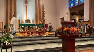 Evelyn D. Holly Funeral Service- 10/24/2020