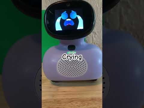 Miko is crying