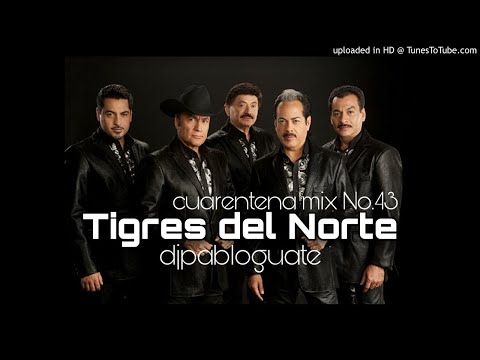 Cuarentena Mix 43 - Tigres del Norte Dj Pablo Guate 2020
