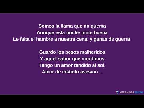 Andra x India Martínez - El Vuelo LYRIC