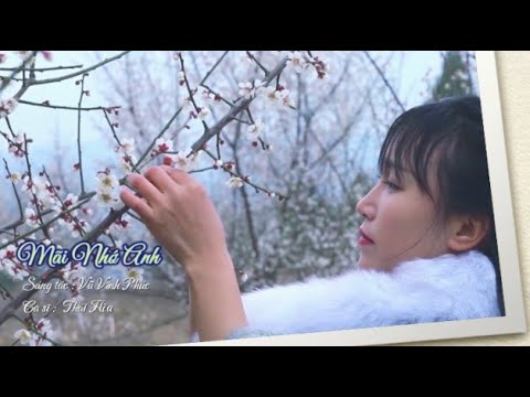 Mãi nhớ anh - Thái Hòa