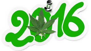 From Under the Seed Desk with Marijuana Man: 2016 … The Year in Review by Pot TV
