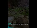 How To Run Faster In Gorilla Tag VR Shorts