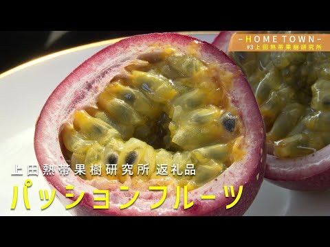 2024年10月15日(火)放送 #3 上田果樹研究所
