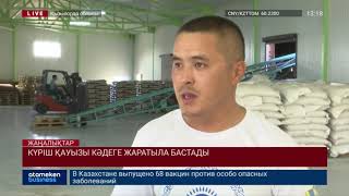 КҮРІШ ҚАУЫЗЫ КӘДЕГЕ ЖАРАТЫЛА БАСТАДЫ