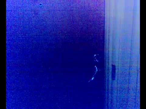 Hain aurinko tuolin varastosta