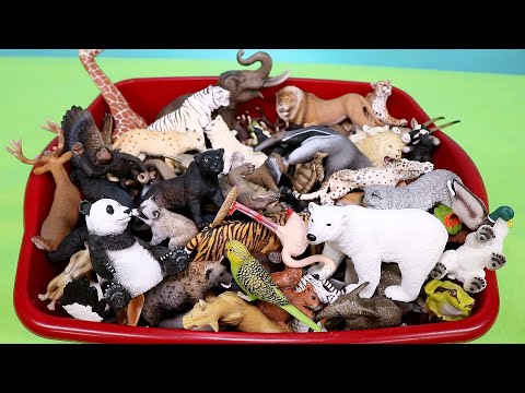 Schleich Wild Animal Figurine Collection