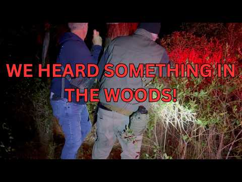 Looking For Bigfoot On Halloween Night/Ocala National Forest Expedition