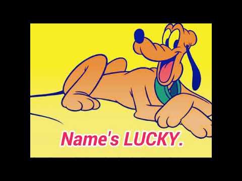 Name's LUCKY.
