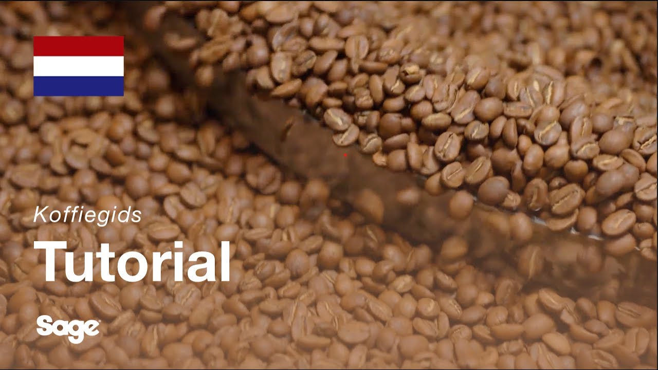 Instructiegids Breville koffie - De juiste bonen kiezen